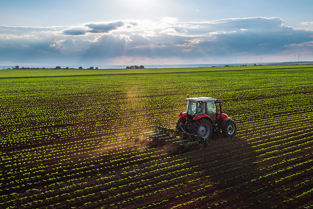 Agriculture land